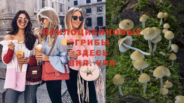 наркотики Белокуриха