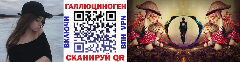 Галлюциногенные грибы Psilocybe Великий Устюг